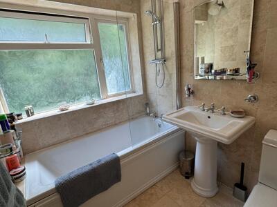 Picture 14